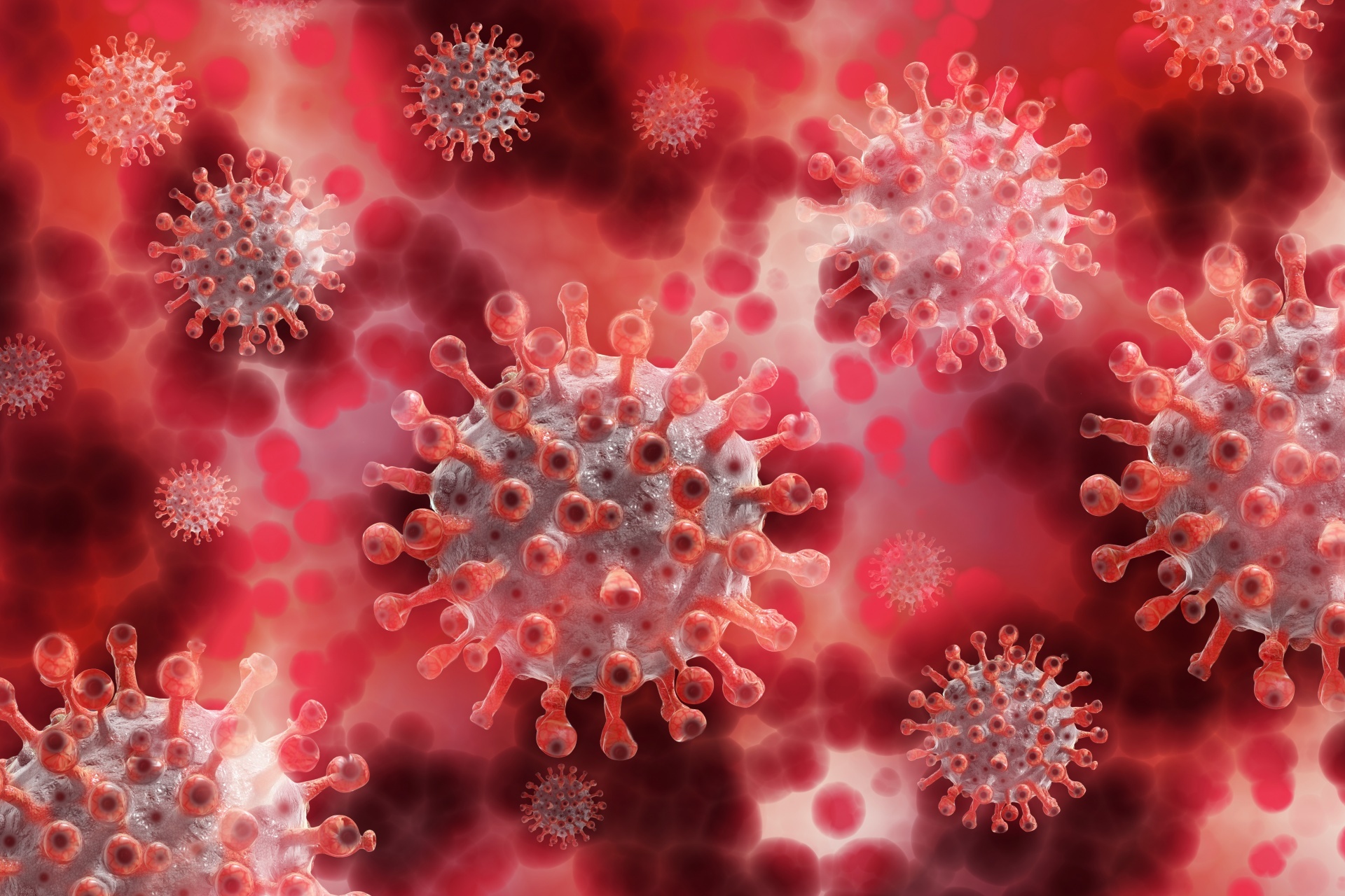 Coronavirus, Covid-19