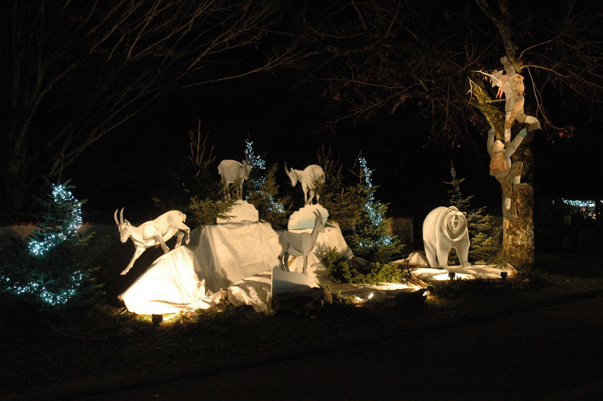 Marché Noël 2021 Touchay / decors avec animaux