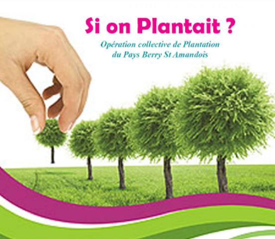 Si on plantait