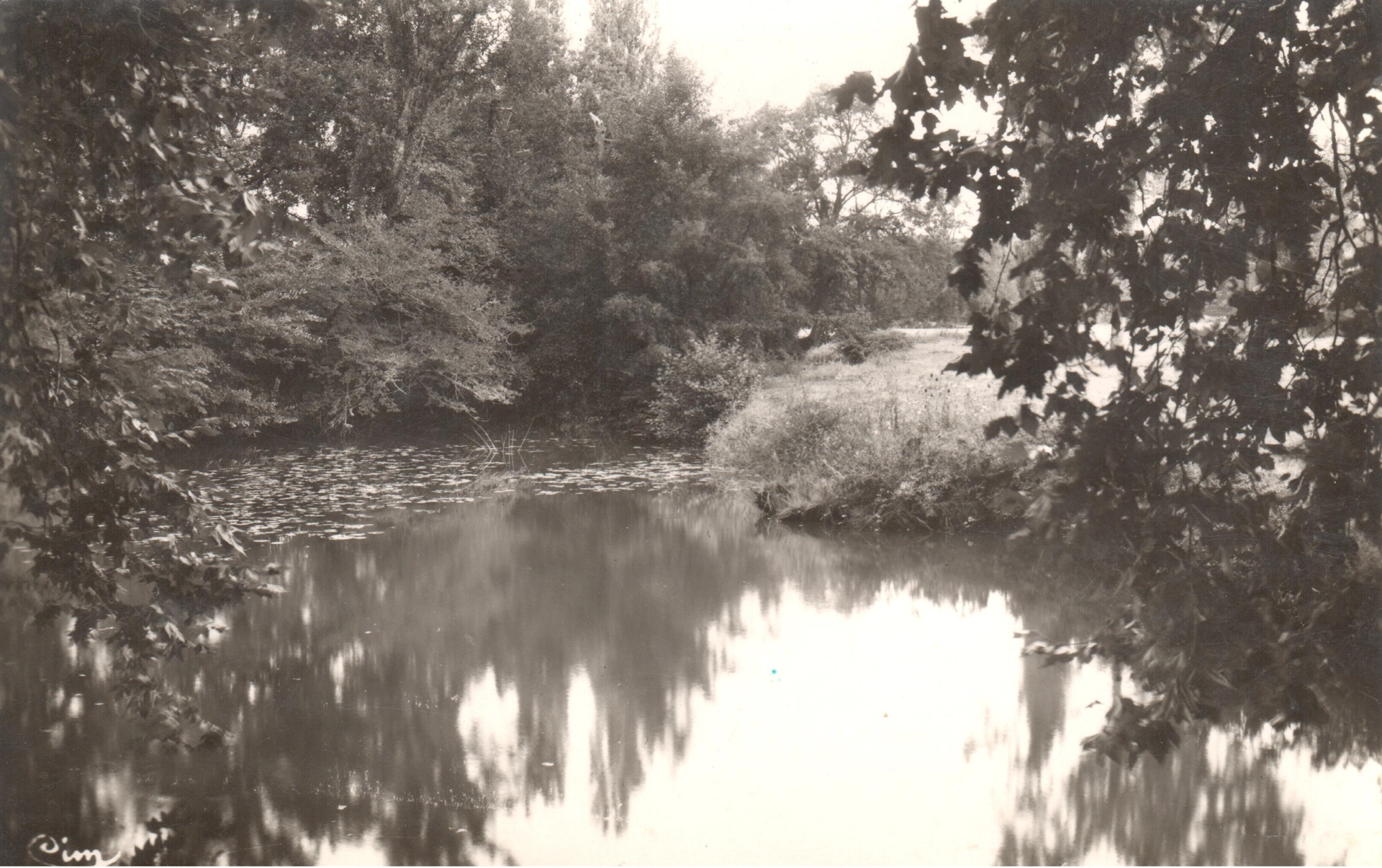 La rivière l'Arnon à Touchay